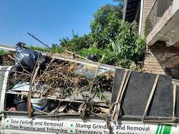 Best Hoarding Cleanup  in Ridgeway, VA